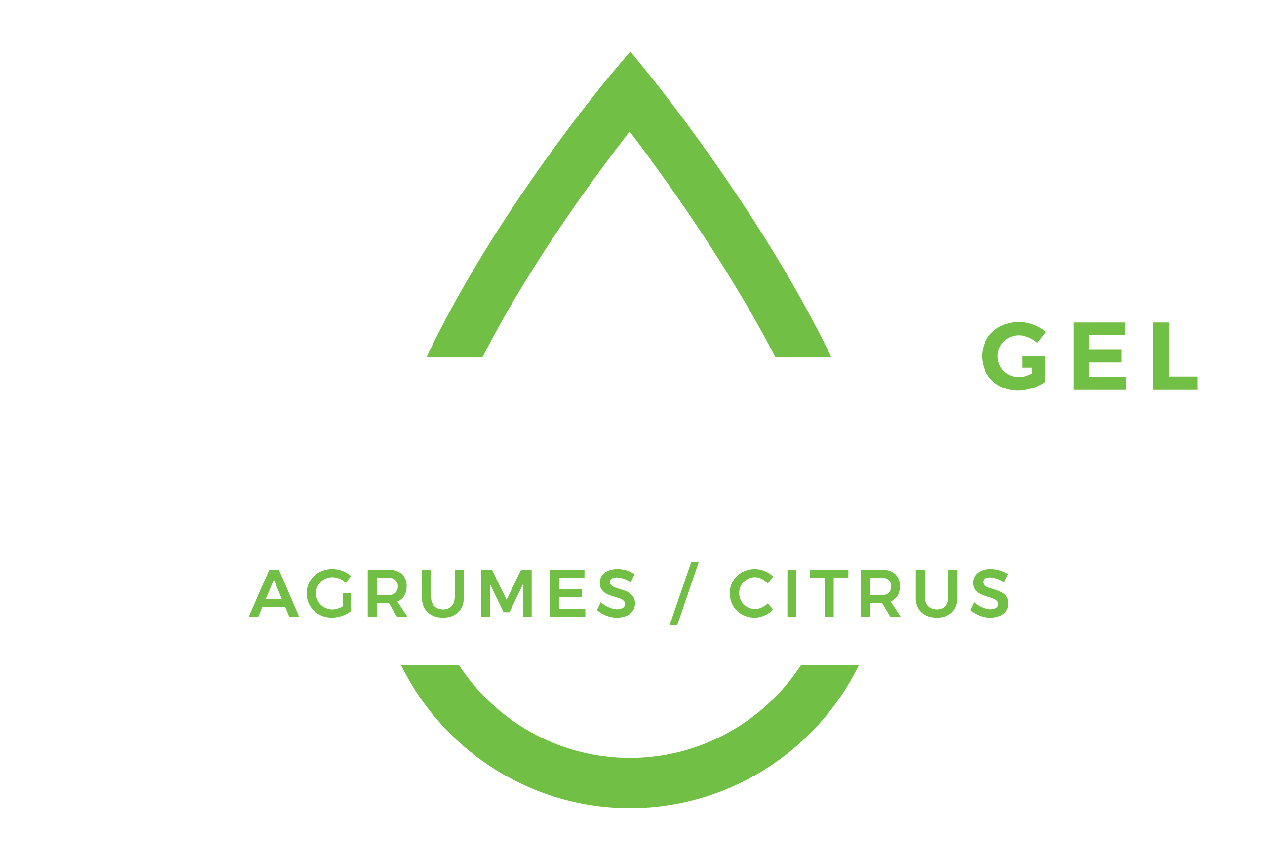 Logo-HydraPure-agrumes-Gel-Antiseptic-pour-les-mains-3